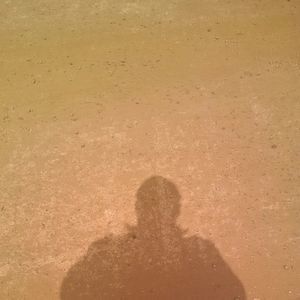 Meet your Posher, Shawn